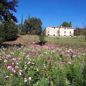 Les Jardins De Falguiere Hotel Сен-Жан-дю-Гар Exterior photo