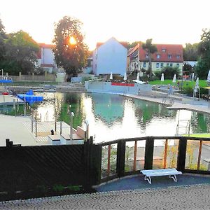 Ferienhaus Strauss Nahe Der Kyffhaeuser Therme Villa Бад Франкенхаузен Exterior photo