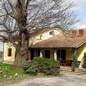 Casa Vacanze Il Castagno Apartment Carbognano Exterior photo