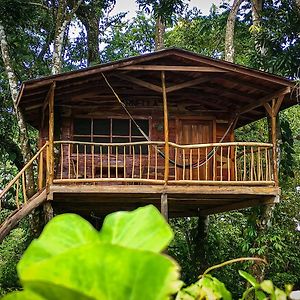 Jungle Cabins El Escondido Bed & Breakfast Muy Muy Exterior photo