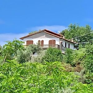 Villa Girasole Corsanico-Bargecchia Exterior photo