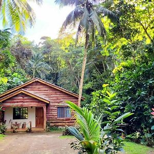 Ecoscape Jamaica - Cottages By The River Очо Риос Exterior photo