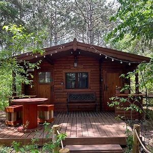 Fancy Fireflies Cabin Villa Хейуърд Exterior photo