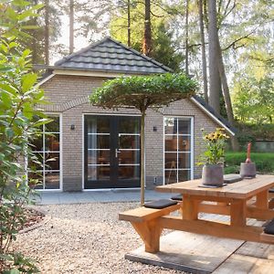 Veluwe Vakantiehuis - Bosuil Lodge Лунтерен Exterior photo