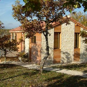 Gite Des Camazets Avec Piscine Villa Trespoux-Rassiels Exterior photo