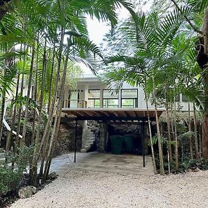 Coconut Grove Mid-Century Jungle Oasis Villa Маями Exterior photo