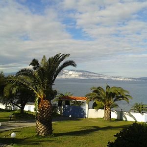 Villa Maria In Front Of The Sea Arkítsa Exterior photo