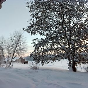 Urlaub Mit Hund Bauernhof In Alleinlage In Finnland Rääkkylä Exterior photo