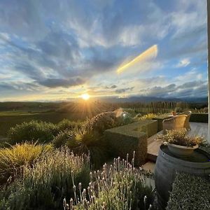 Luxury Cottage With Stunning Vineyard Views Renwick Exterior photo