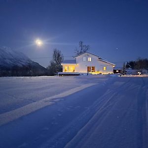 Mountainside Lodge - Breivikeidet Тромсьо Exterior photo