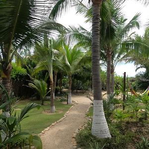 Ocean Oasis Hotel - Adult Only, Four Casitas Boutique Resort Agua Blanca Exterior photo