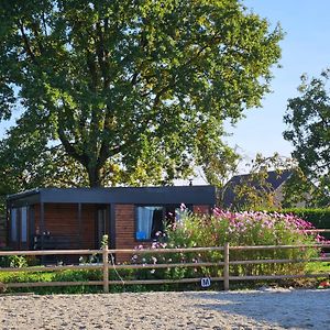 Houten Huisje Tussen Paarden Villa Nieuwerkerken Exterior photo