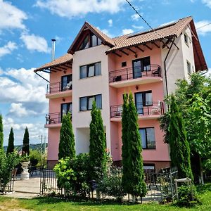 Pensiunea Emma Hotel Sîmbăta de Sus Exterior photo