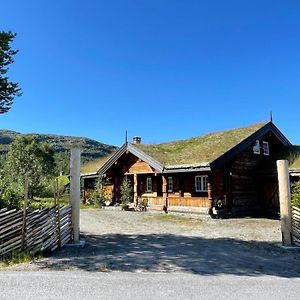 Solsetra - Mountain Majesty Family Log Cabin Villa Ховден Exterior photo