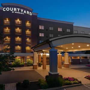 Courtyard By Marriott Buffalo Airport Hotel Чийктоуага Exterior photo