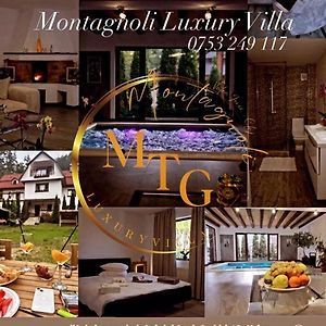 Montagnoli Luxury Villa Клуж-Напока Exterior photo