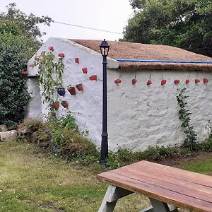 The Rockhouse - Cosy Stone Built Thatch Cottage Дънглоу Exterior photo
