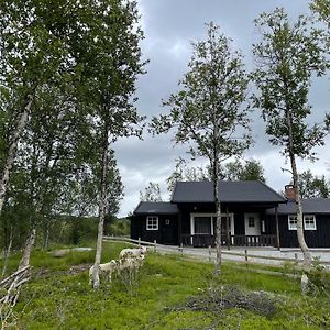 Sigurdhytta Villa Ал Exterior photo