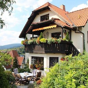 Grosse Ferienwohnung In Rauenstein Mit Garten, Terrasse Und Grill Und Panoramablick Exterior photo
