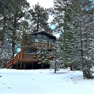 The Bear Hut - The Perfect Home Away From Home! Биг Беър Лейк Exterior photo