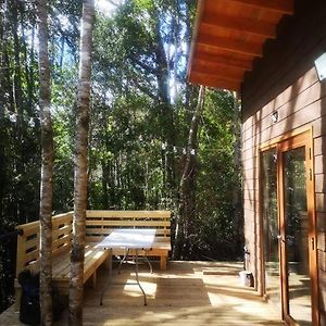 Cabana En El Bosque En La Ruta Termal Apartment Pucón Exterior photo