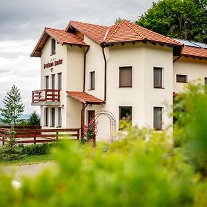 Pensiunea Rozelor Statiunea Climaterica Sambata Hotel Sîmbăta de Sus Exterior photo