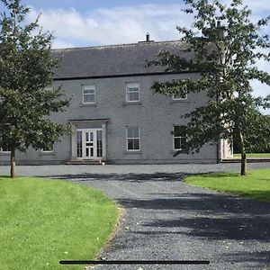 Castan House - 30 Minutes To Dublin Airport Villa Килдеър Exterior photo