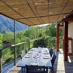 Fraicheur, Piscine Et Hamac Entre Miroirs Et Loup. Villa Греолиер Exterior photo