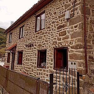 Las Monas Casa Rural Пола де Лена Exterior photo