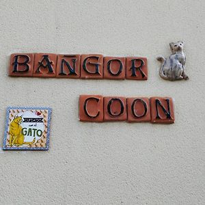 Le Bangor Coon Apartment Forges  Exterior photo