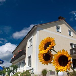 Landgasthof Am Sonnenhang Hotel Военщраус Exterior photo