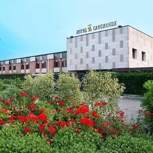 Hotel Cangrande Di Soave Соаве Exterior photo