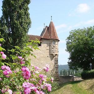 Weingut Gaestehaus Weigand Hotel Ипхофен Exterior photo