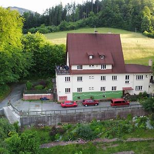 Jandlova Vila Hotel Frenštát pod Radhoštěm Exterior photo