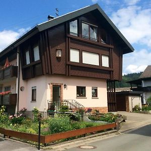 Freistehendes Ferienhaus Mit Suedbalkon Apartment Marktrodach Exterior photo