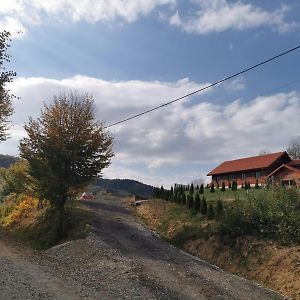 Cabana Valea Popii Hotel Sita Buzăului Exterior photo