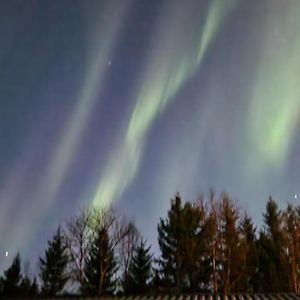 Hus I Naturskjonne Omgivelser Med 3 Soverom Villa Ramfjordbotn Exterior photo