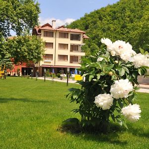 Хотел Делта Hotel Огняново Exterior photo