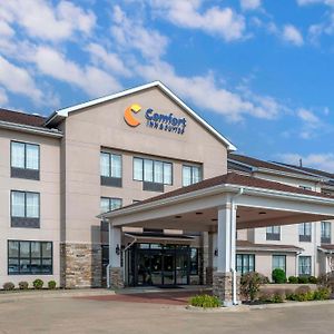 Comfort Inn & Suites Блайтвил Exterior photo