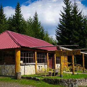 Eco Camp Drno Brdo Villa Kosanica Exterior photo