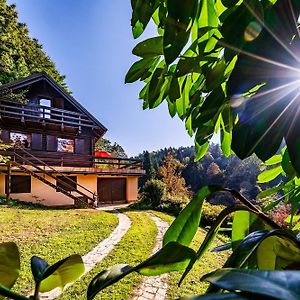 Chalet Forest Villa Камник Exterior photo