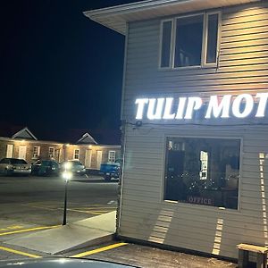 Tulip Motel Удсток Exterior photo