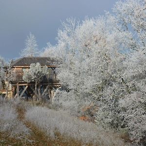 Cabane-Hobbit De Samsaget Eyvignes-et-Eybenes Exterior photo