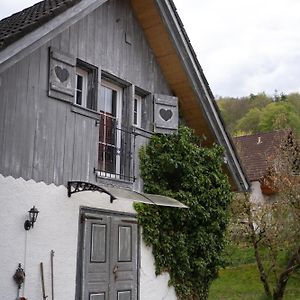 Wallys Huesli Im Schwarzwald Villa Юлинген-Биркендорф Exterior photo