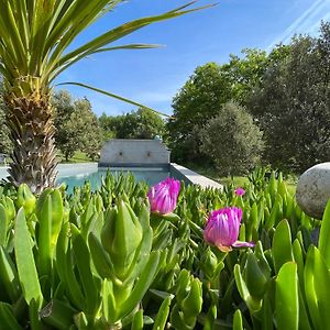 Pigeonnier Des Banons Bed & Breakfast Puimoisson Exterior photo