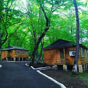 Woodencottages Qeleduz Exterior photo