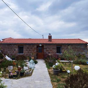 Owls Nest Limnos House - Pet Friendly, Close To The Beach Apartment Moúdhros Exterior photo