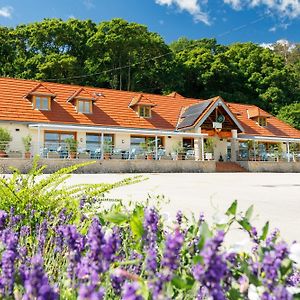 Lepke Apartmanhaz Es Etterem Hotel Тихани Exterior photo