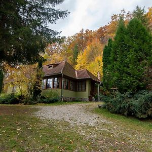 Esigman - Log Cabin In Transylvania Villa Fule Exterior photo