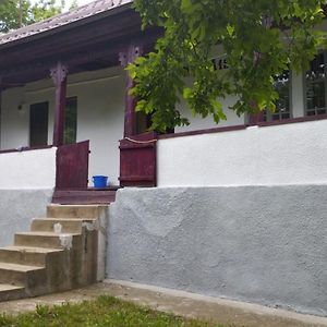 Gradina Familia Amurtel Villa Бузау Exterior photo